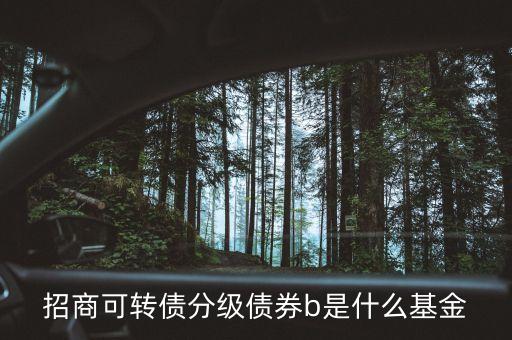 轉(zhuǎn)債b級(jí)是什么，招商可轉(zhuǎn)債分級(jí)債券b 場(chǎng)內(nèi)買入 場(chǎng)外賣出什么意思