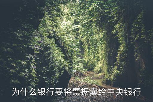 為什么央行要建立票據(jù)交易所，票交所是什么意思