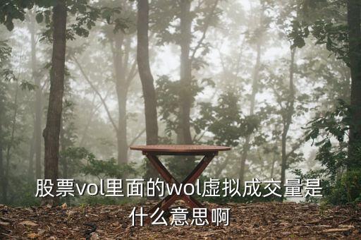 虛擬成交量是什么意思，股票vol里面的wol虛擬成交量是什么意思啊