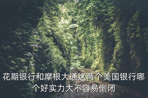 花期銀行和摩根大通這兩個美國銀行哪個好實力大不容易倒閉