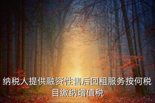 什么是融資性售后回租，有形動產(chǎn)融資性售后回租是什么意思啊 能舉個例子嗎
