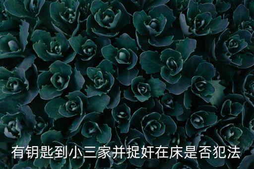 有鑰匙到小三家并捉奸在床是否犯法