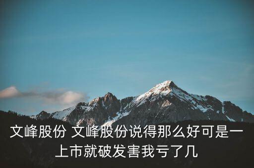文峰股份是什么公司，文峰股份怎么樣