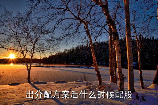 出分配方案后什么時候配股