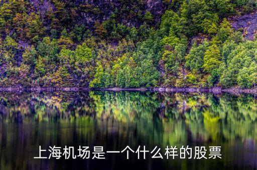 上海機(jī)場(chǎng)股票屬于什么股票，上海機(jī)場(chǎng)屬于什么行業(yè)的股票