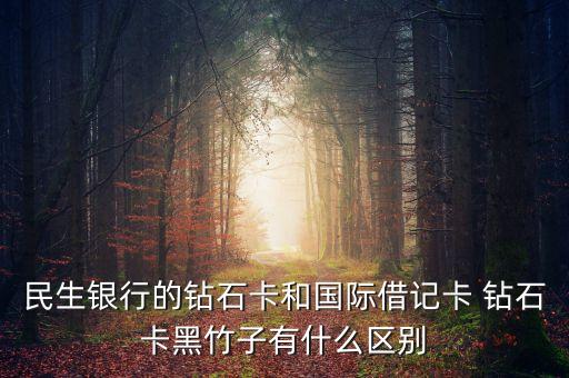 民生銀行小鬼當(dāng)家卡有什么好的，民生銀行為什么給我辦了張小鬼當(dāng)家的借記卡