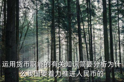 運(yùn)用貨幣職能的有關(guān)知識(shí)簡(jiǎn)要分析為什么我國(guó)要著力推進(jìn)人民幣的