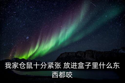 我家倉鼠十分緊張 放進盒子里什么東西都咬