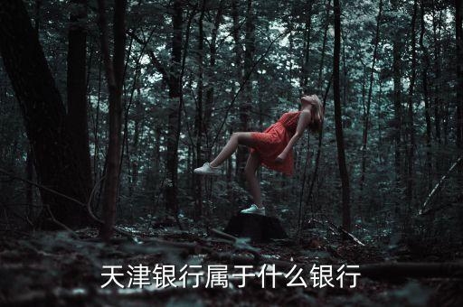 天津銀行是什么銀行，天津銀行算什么銀行