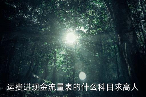 運費進現(xiàn)金流量表的什么科目求高人