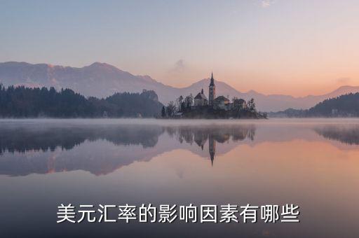 美元匯率的影響因素有哪些