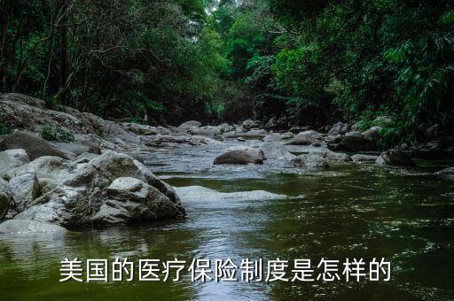 美國醫(yī)療體系中保險控制醫(yī)療是指什么，美國的醫(yī)療保險制度是怎樣的