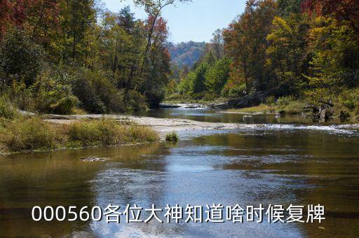 000560各位大神知道啥時(shí)候復(fù)牌