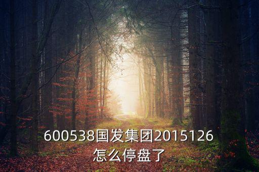 600538國(guó)發(fā)集團(tuán)2015126怎么停盤(pán)了