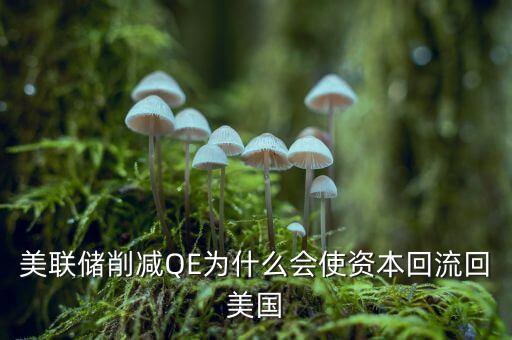 qe退出為什么會(huì)引發(fā)資金外流，美國(guó)退出QE3為什么會(huì)造成 美元回流
