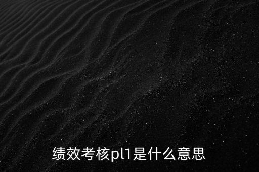 績(jī)效考核pl1是什么意思