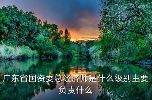 廣東省國資委總經濟師是什么級別主要負責什么
