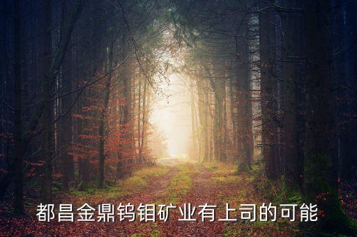 都昌金鼎鎢鉬是個(gè)什么公司，都昌金鼎鎢鉬礦業(yè)有上司的可能