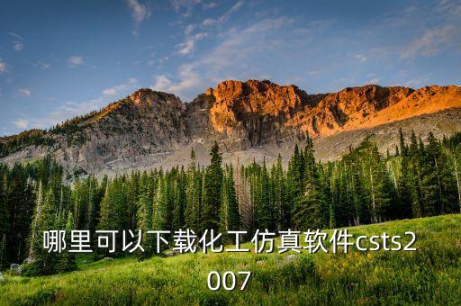 中石化微信代碼是什么，哪里可以下載化工仿真軟件csts2007