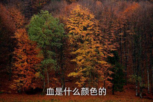 血是什么顏色的