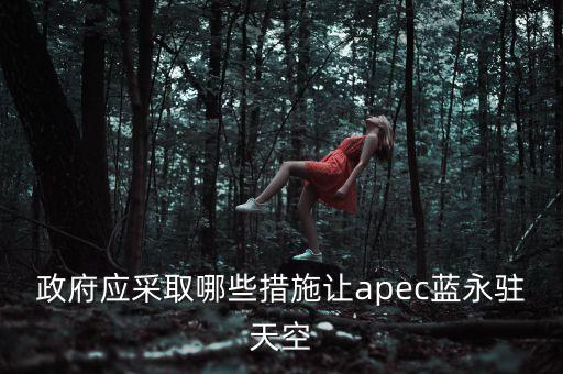 APEC會(huì)議部要做什么準(zhǔn)備，APEC系列會(huì)議怎么開