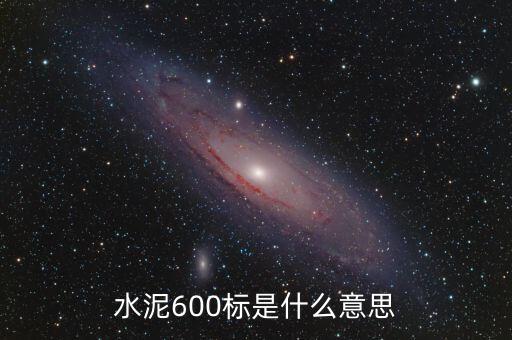 水泥600標是什么意思