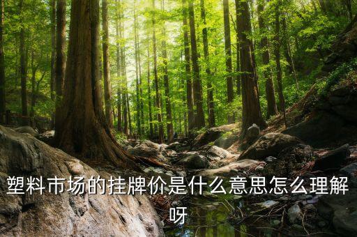 塑料市場(chǎng)的掛牌價(jià)是什么意思怎么理解呀