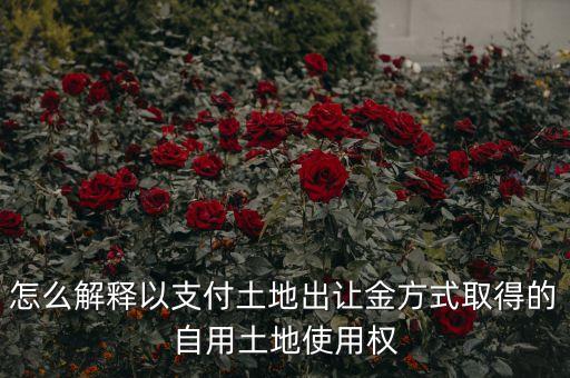 怎么解釋以支付土地出讓金方式取得的自用土地使用權(quán)