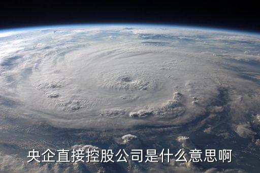 央企控股是什么意思，國(guó)資委控股央企是什么意思哈藥集團(tuán)是嗎