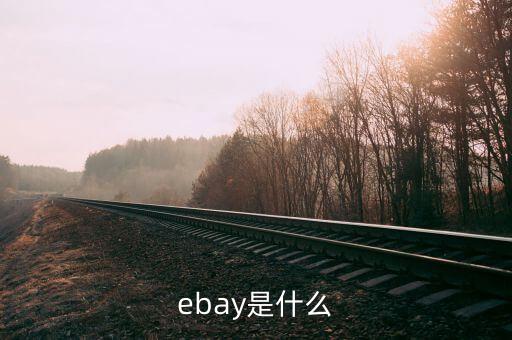qfii是什么，ebay是什么