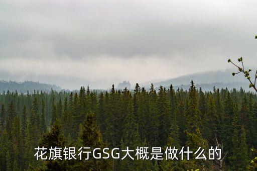 花旗銀行GSG大概是做什么的