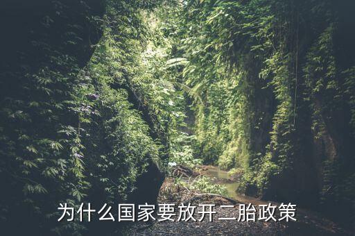 為什么國家要放開二胎政策