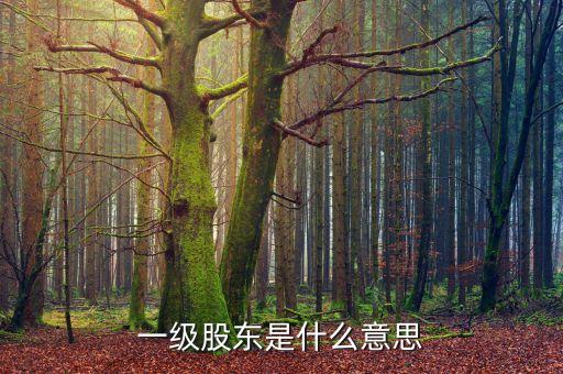 二級(jí)股東是什么意思，兩級(jí)股權(quán)結(jié)構(gòu)