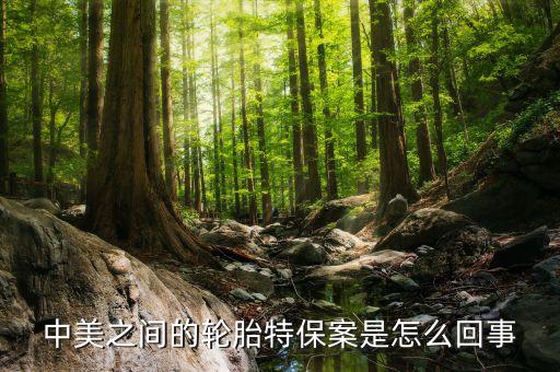 美為什么對(duì)華輪胎特保，中美之間的輪胎特保案是怎么回事