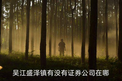 盛澤有什么證券公司，江蘇吳江盛澤哪里能買股票開戶
