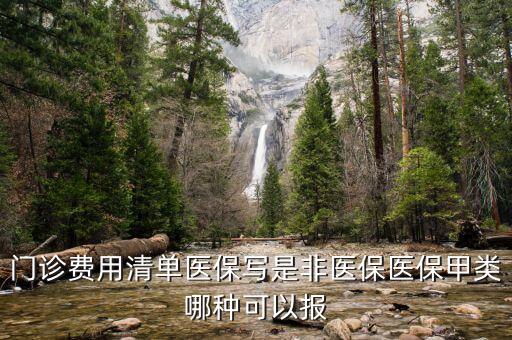 非醫(yī)保費用是什么，非醫(yī)保是什么意思