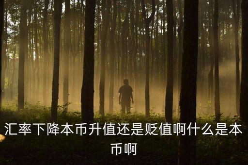 什么是匯率下降，匯率下降本幣升值還是貶值啊什么是本幣啊