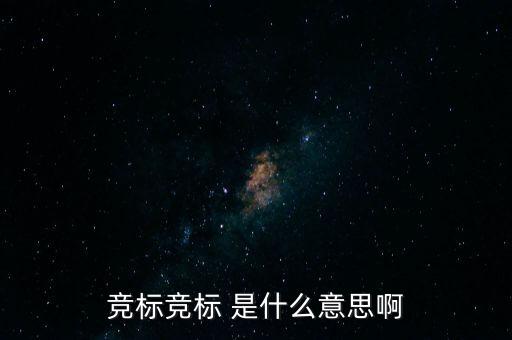 競標(biāo)是什么意思，競標(biāo)是什么意思