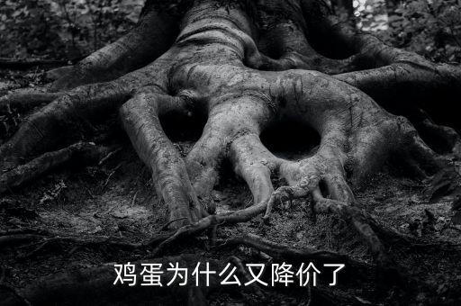 雞蛋為什么降價(jià)，雞蛋為什么又降價(jià)了