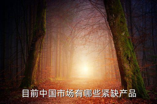 目前中國(guó)市場(chǎng)有哪些緊缺產(chǎn)品