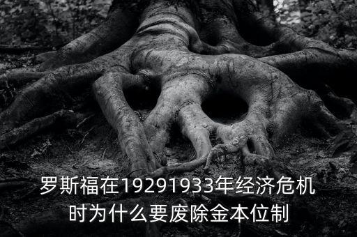 羅斯福在19291933年經(jīng)濟(jì)危機(jī)時(shí)為什么要廢除金本位制