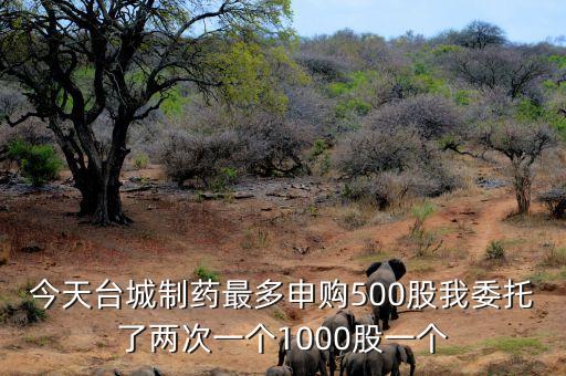 什么時(shí)候知道臺(tái)城制藥是否中簽，想知道 臺(tái)山市 從廣海鎮(zhèn)海洋大廈到黑沙灣怎么坐公交
