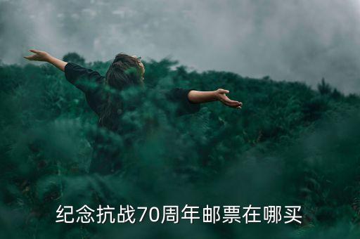抗戰(zhàn)勝利都有什么郵冊，請問紀念抗日戰(zhàn)爭勝利六十周年郵票珍藏冊19452005價值多