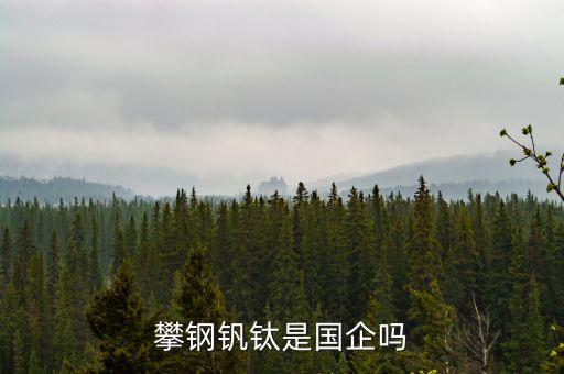 攀鋼釩鈦主要做什么，我司主要做什么的