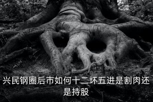 興民鋼圈股票什么股，興民鋼圈后市如何十二壞五進(jìn)是割肉還是持股