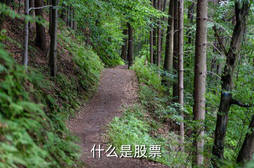 什么事股票，什么是股票