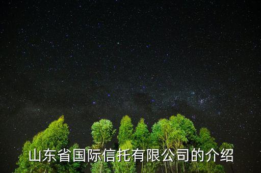 山東省國(guó)際信托有限公司的介紹