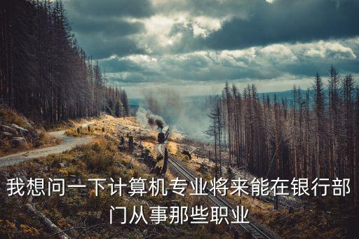 我想問一下計算機專業(yè)將來能在銀行部門從事那些職業(yè)