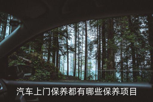 汽車上門保養(yǎng)都有哪些保養(yǎng)項目