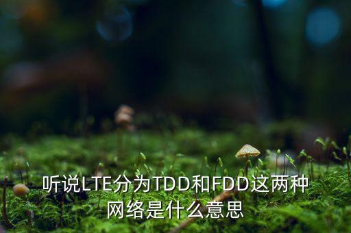 電信4g混合組網(wǎng)什么意思，什么是4G融合套餐
